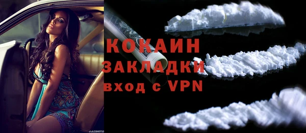 сатива Арсеньев