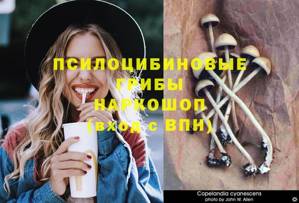 сатива Арсеньев