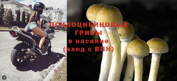 сатива Арсеньев