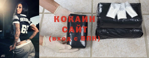 сатива Арсеньев
