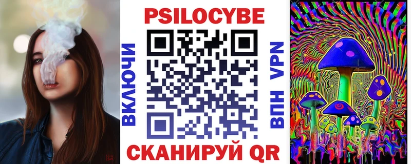 гидра рабочий сайт Салаир Псилоцибиновые грибы Psilocybe